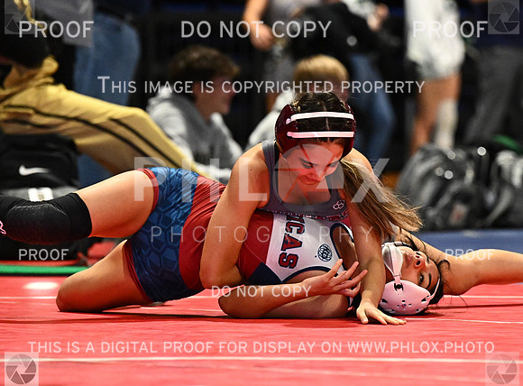 DLS_6609