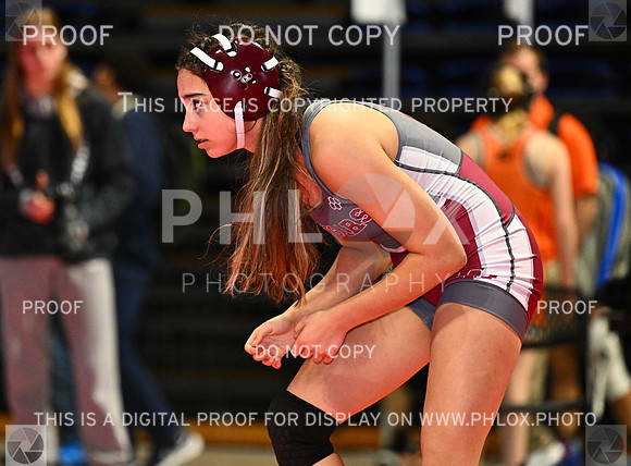 DLS_6643