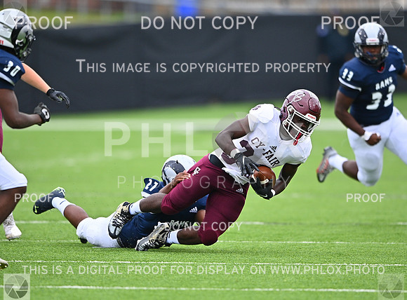 DLS_3542