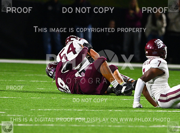 DLS_8978