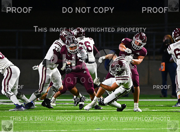 DLS_8263