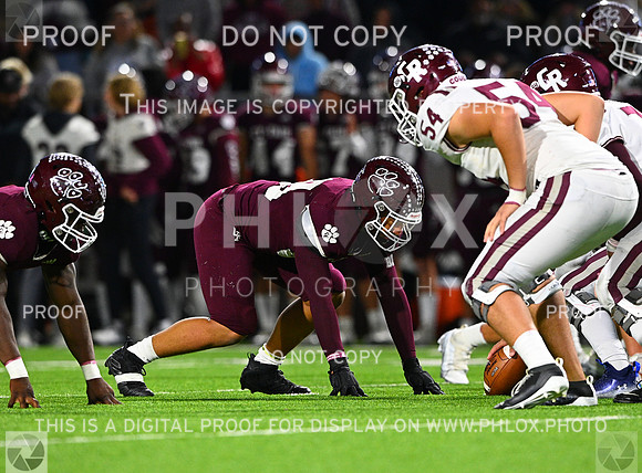 DLS_8828