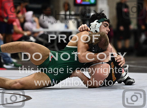 DLS_1518