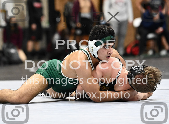 DLS_1521