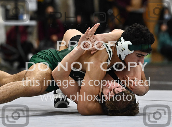 DLS_1519