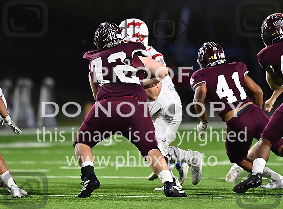 DLS_8106