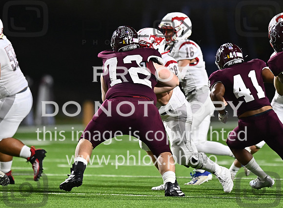 DLS_8105