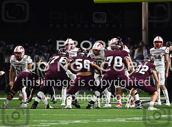 DLS_8095