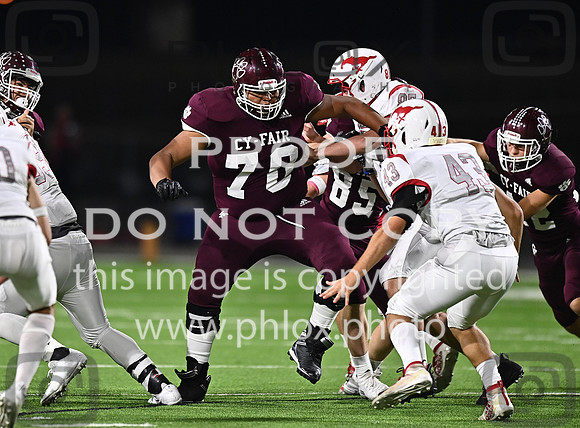 DLS_8871