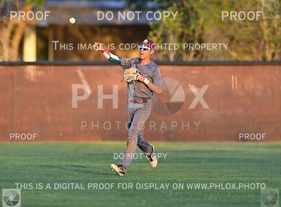 DLS_0081