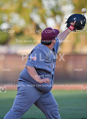 DLS_0068