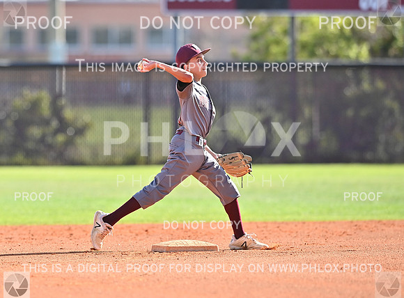 DLS_8762