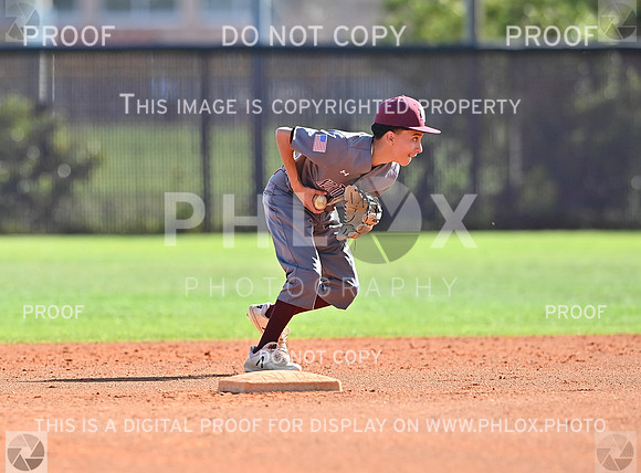 DLS_8752