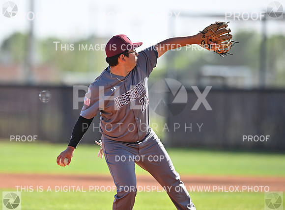 DLS_8757