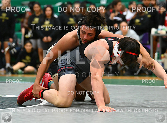 DLS_5881