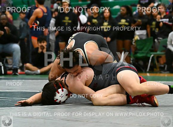 DLS_5921