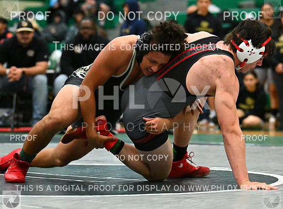 DLS_5870