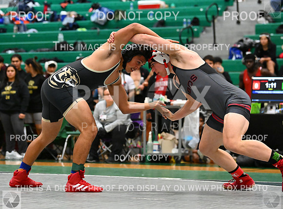 DLS_5813