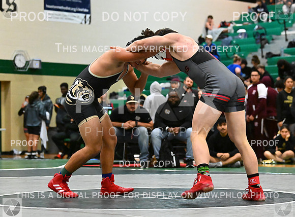 DLS_5996