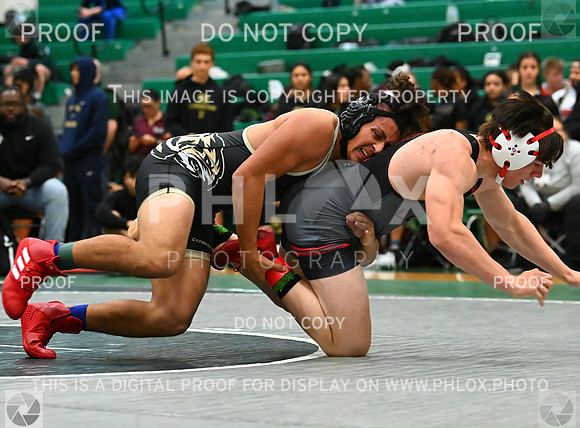 DLS_5872