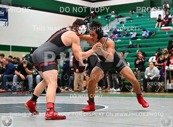 DLS_5798