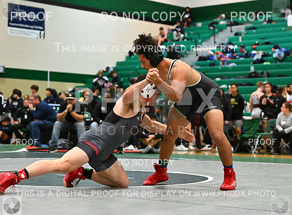 DLS_5807