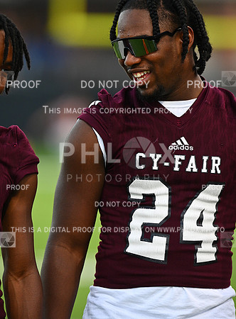 DLS_2421