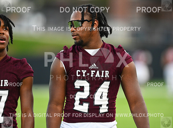DLS_2419
