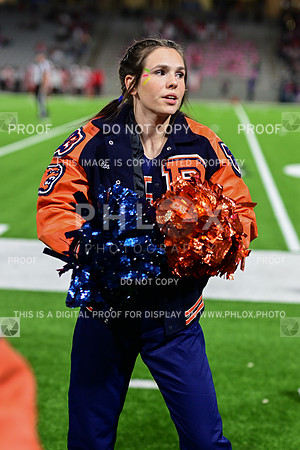 TOM_3441