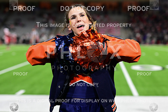 TOM_3461