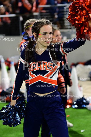 TOM_4655