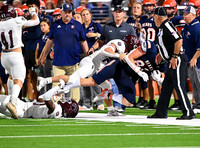 DLS_3396