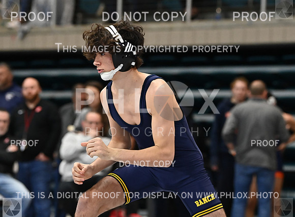 DLS_9547