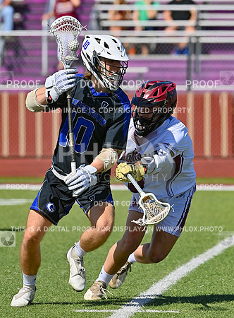 DLS_5423