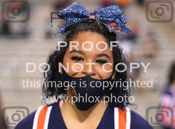 ND5_2879