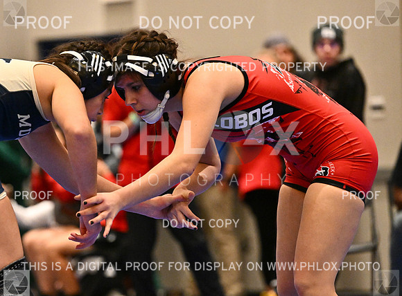 DLS_6006