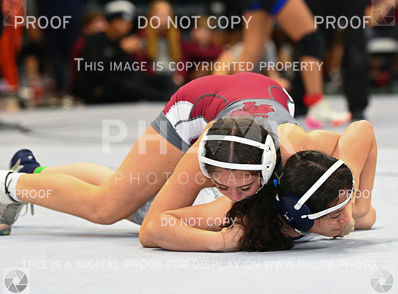 DLS_0367