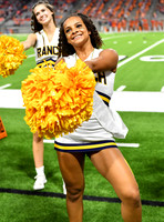 FDS_8336