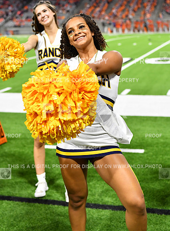 FDS_8336