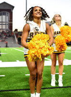 FDS_8348