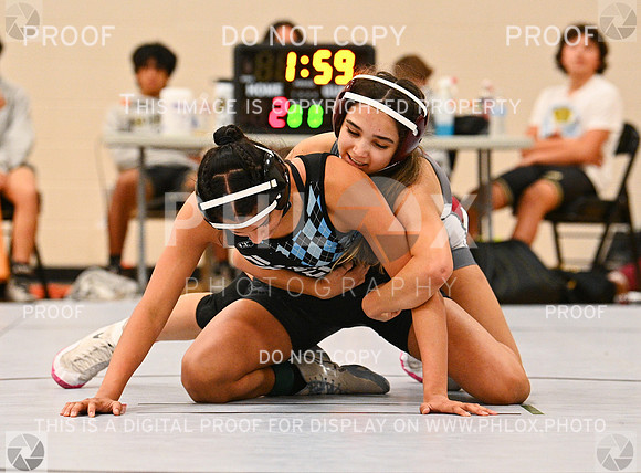 DLS_5436
