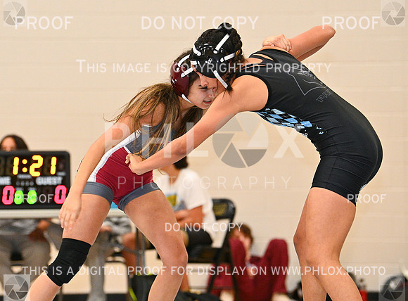 DLS_5409