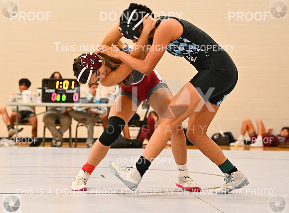DLS_5414