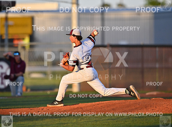 DLS_0028
