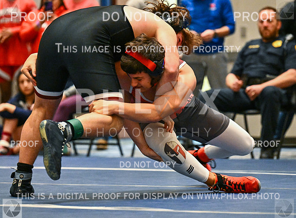 DLS_5770