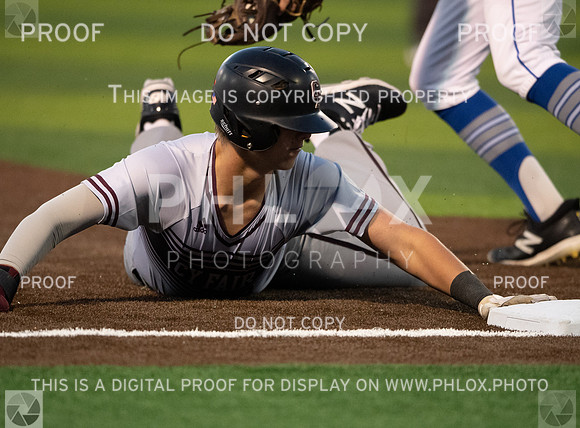 DLS_0858