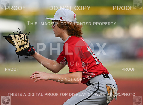 DLS_0760