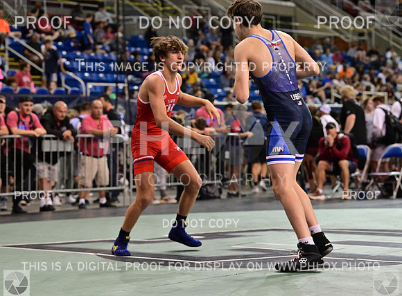 TZ9_0276