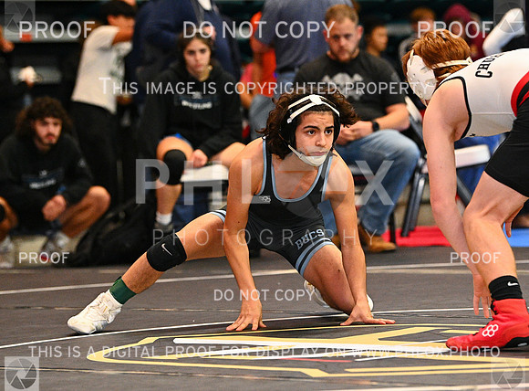 DLS_0088
