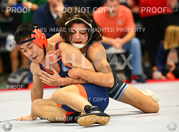 DLS_9316